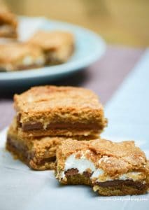 S'mores Bars from What The Fork Food Blog