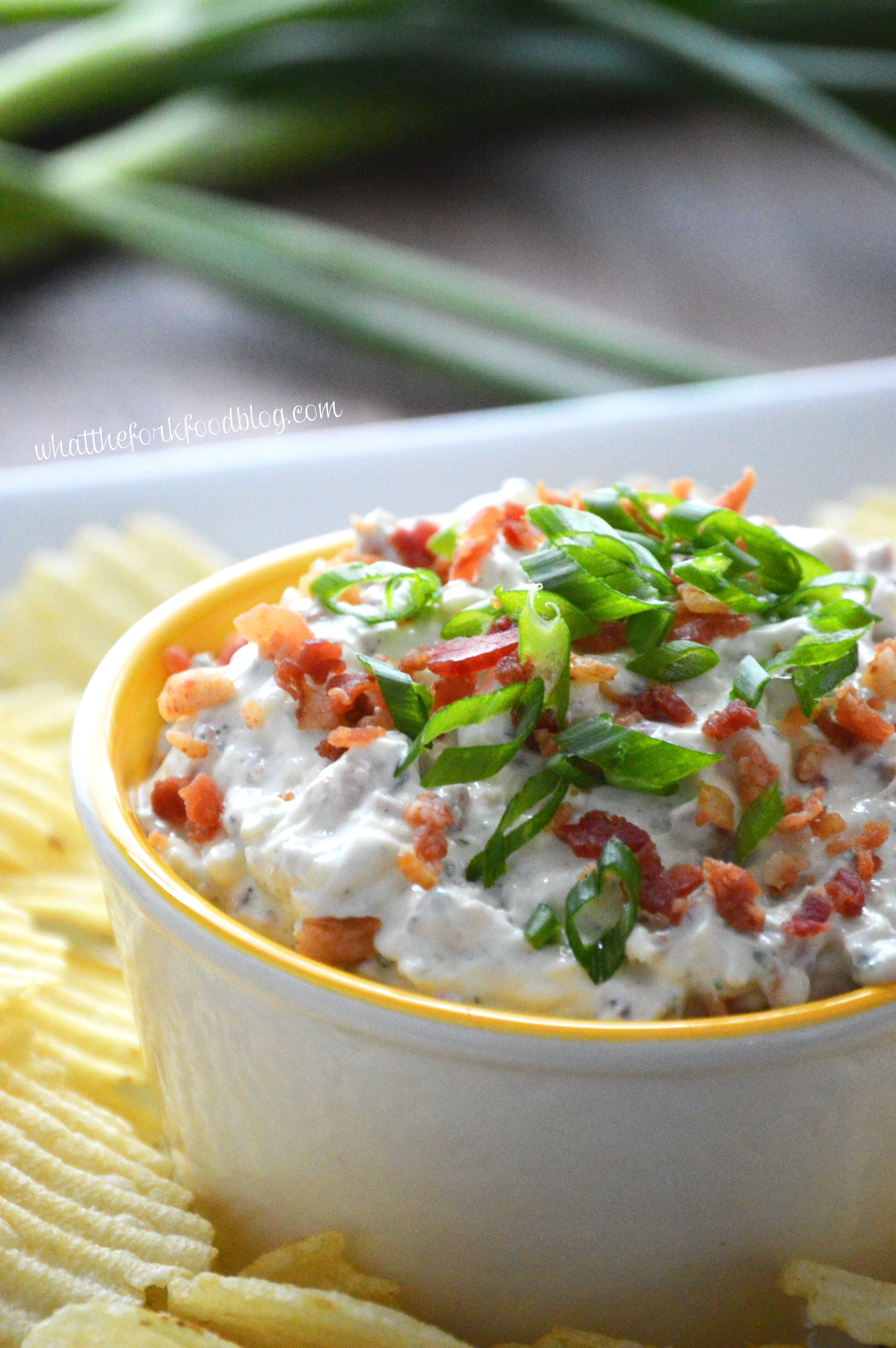 Super Easy Crack Dip - a sour cream based dip with ranch dip mix, cheese and bacon. Totally addicting! Crack Dip Pinterest recipe from @whattheforkblog | whattheforkfoodblog.com | crack dip cold | crack dip recipes | crack dip recipe | cheesy crack dip | crack dip with bacon | how to make crack dip | what is crack dip | award winning crack dip | game day recipes | gluten free appetizer recipes | gluten free dip recipes | easy dip recipes |