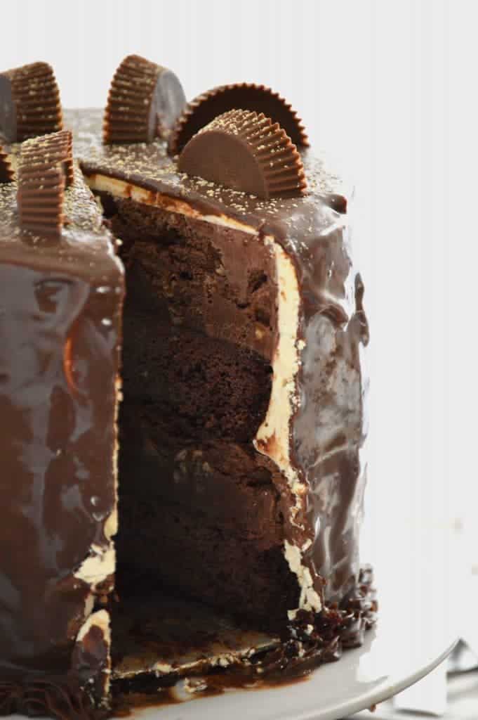 Chocolate Peanut Butter Cup Ice Cream Cake from What The Fork Food Blog