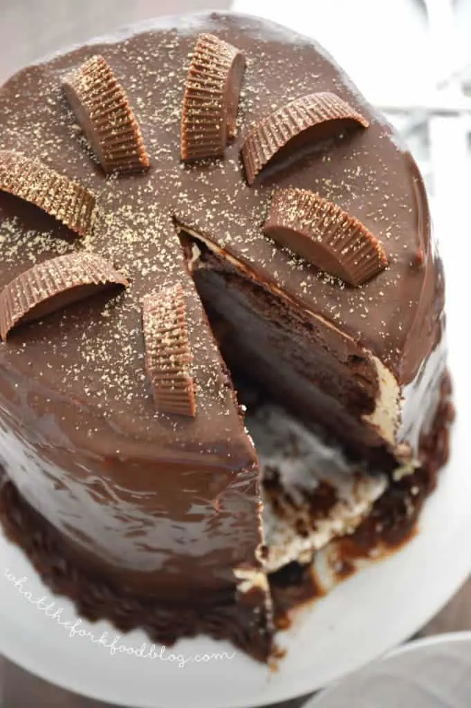 Chocolate Peanut Butter Cup Ice Cream Cake from What The Fork Food Blog