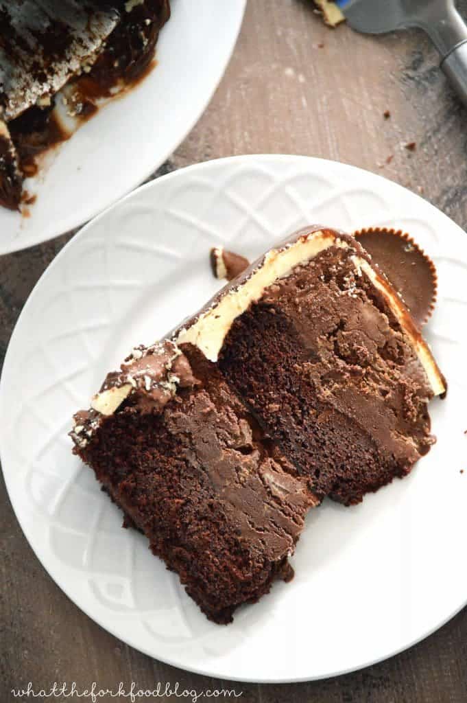 Chocolate Peanut Butter Cup Ice Cream Cake from What The Fork Food Blog