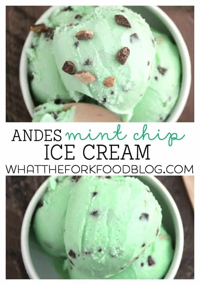 Andes Mint Chip Ice Cream from What The Fork Food Blog