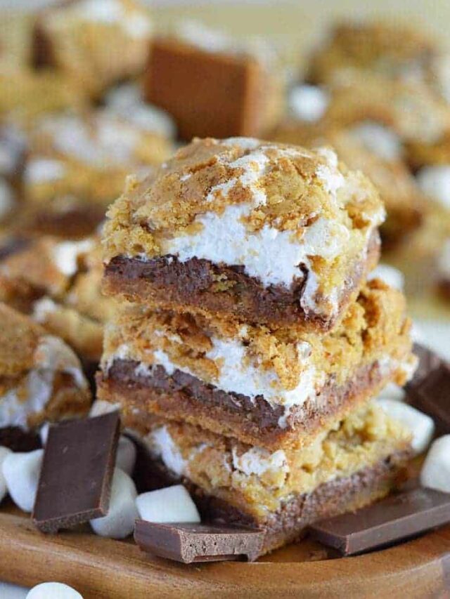 Recipe for Gluten Free S’mores Bars Story