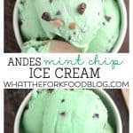 Andes Mint Chip Ice Cream from What The Fork Food Blog