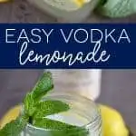 Easy Vodka Lemonade from What The Fork Food Blog | whattheforkfoodblog.com