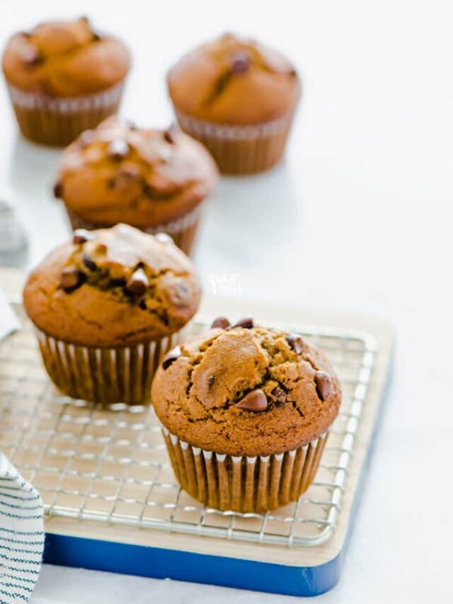 Gluten Free Pumpkin Chocolate Chip Muffins