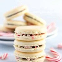 Gorgeous Macarons flavored for Christmas! These peppermint macarons are made with a basic macaron shell and filled with peppermint chocolate ganache and crushed candy canes - they’re heavenly! Gluten free and dairy free macaron recipe from @whattheforkblog | whattheforkfoodblog.com | Sponsored | how to make macarons | easy macaron recipe | french macarons | macaroon | french macaron filling | french macaron flavors | macaron recipe flavors