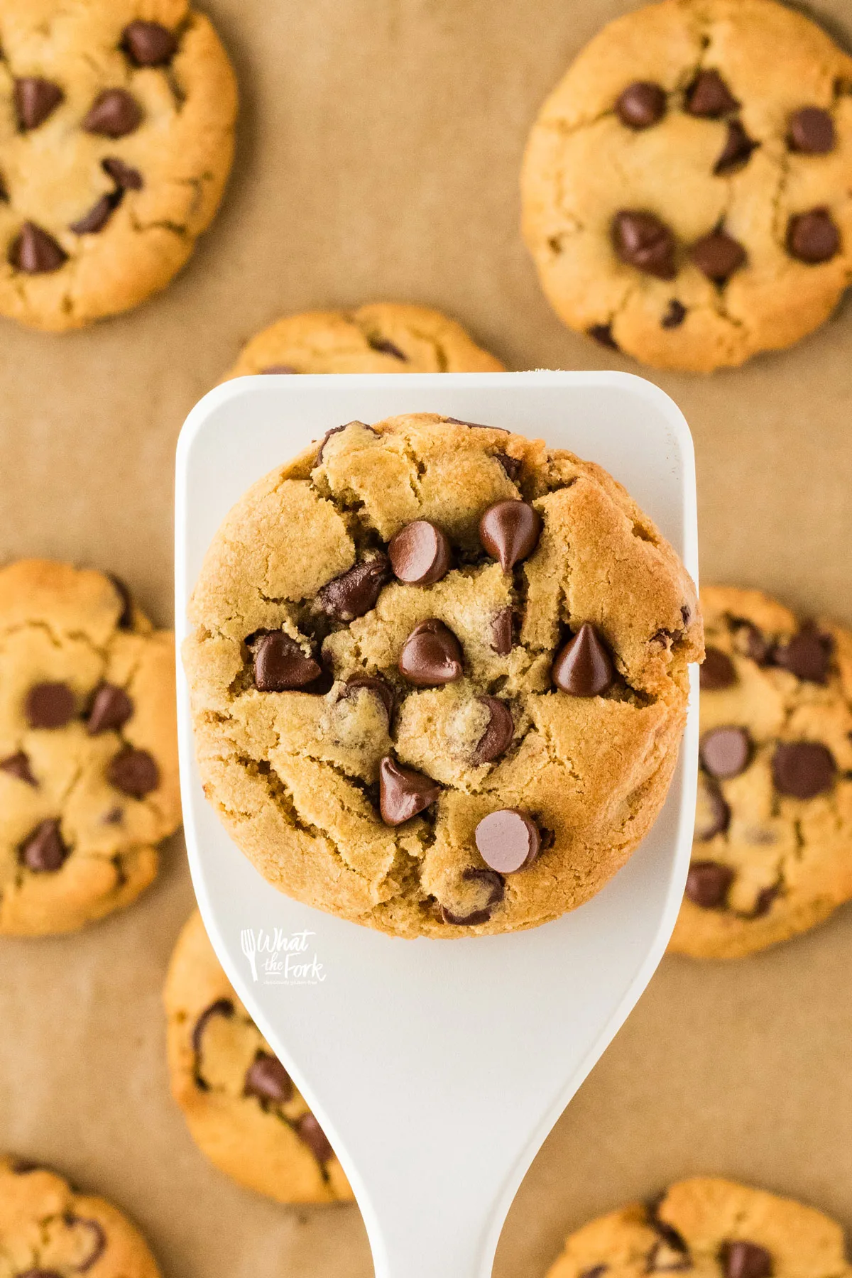 a gluten free chocolate chip cooking on a white spatula