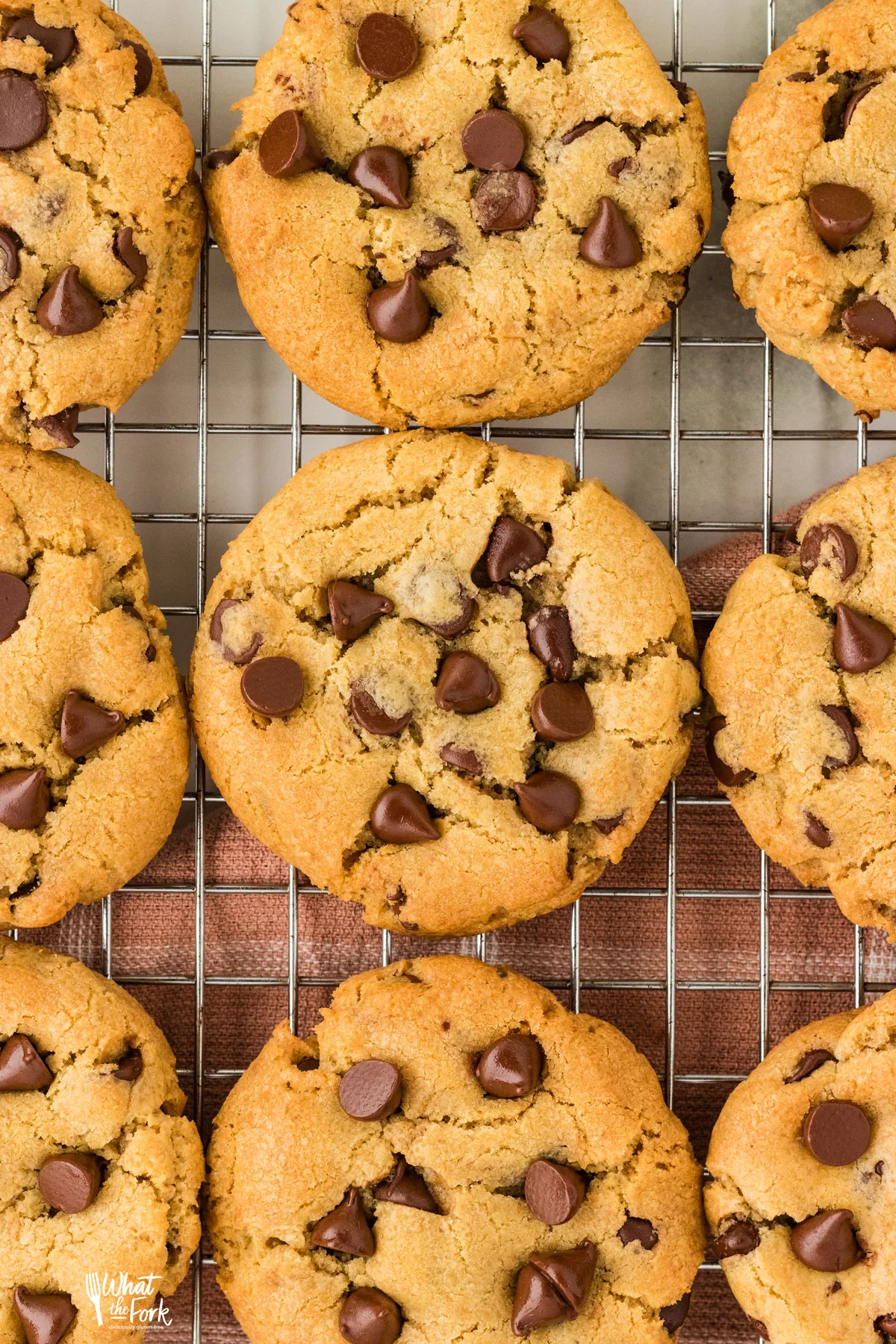 overhead shot of baked Gluten Free Chocolate Chip Cookies cooling on a wire rack