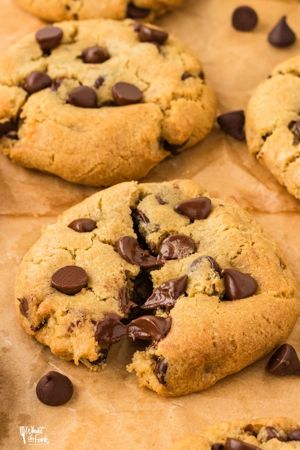 baked Thick and Chewy Gluten Free Chocolate Chip Cookies on brown parchment paper with one cookie pulled apart in the middle to show the gooey chocolate chips