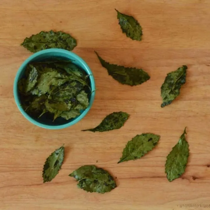 Crispy Baby Kale Chips