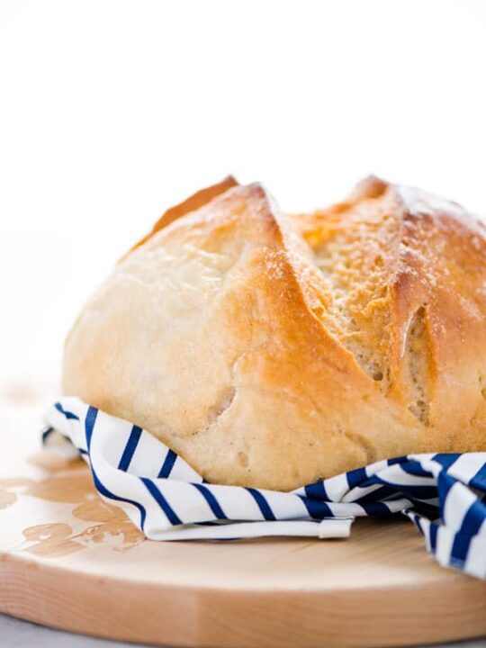 gluten free sourdough bread maker recipe