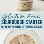 Learn how to make a sourdough starter with gluten free flour with 2 ingredients and minimal equipment. Follow the detailed feeding schedule (free printable schedule available). Learn the basic tools you need, gluten free flour recommendations, and all your sourdough starter questions are answered. This how-to post is full of information to set you up for sourdough starter success. Recipe and tutorial from @whattheforkblog - visit whattheforkfoodblog.com for more gluten free baking recipes.