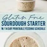 Learn how to make a sourdough starter with gluten free flour with 2 ingredients and minimal equipment. Follow the detailed feeding schedule (free printable schedule available). Learn the basic tools you need, gluten free flour recommendations, and all your sourdough starter questions are answered. This how-to post is full of information to set you up for sourdough starter success. Recipe and tutorial from @whattheforkblog - visit whattheforkfoodblog.com for more gluten free baking recipes.