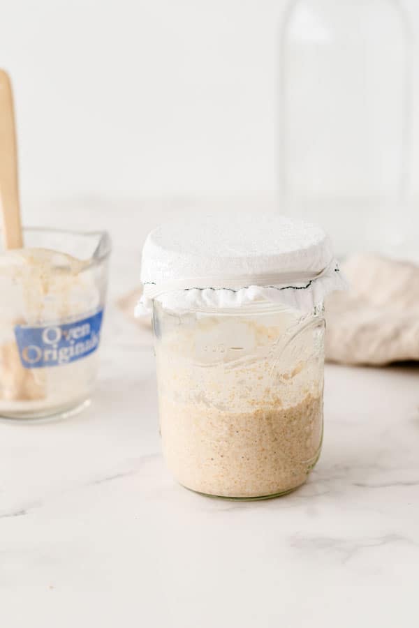 how to make a sourdough starter with gluten free flour with 2 ingredients 