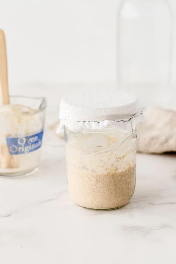 how to make a sourdough starter with gluten free flour with 2 ingredients 