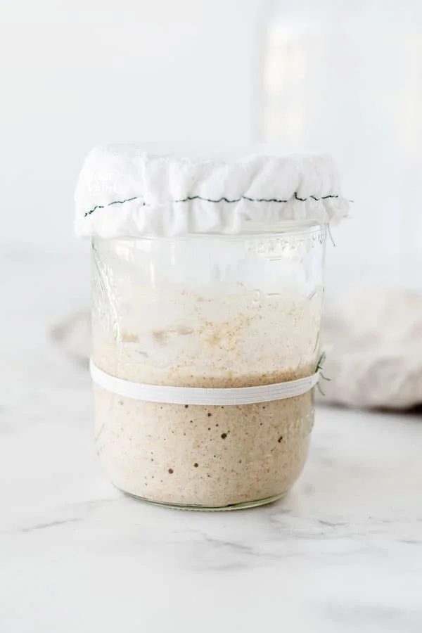 Gluten Free sourdough starter, covered.