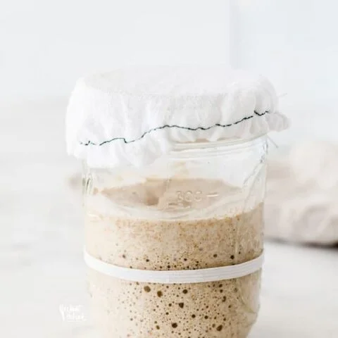 Feeding Sourdough Starter for Maintenance