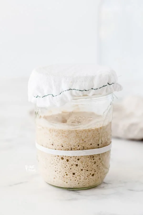sourdough starter in a glass jar with a cloth cover for Feeding Sourdough Starter for Maintenance