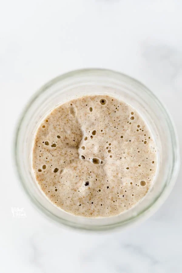 Bubbles forming on sourdough starter gluten free