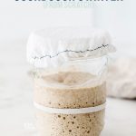 Learn how to make a sourdough starter with gluten free flour with 2 ingredients and minimal equipment. Follow the detailed feeding schedule (free printable schedule available). Learn the basic tools you need, gluten free flour recommendations, and all your sourdough starter questions are answered. This how-to post is full of information to set you up for sourdough starter success. Recipe and tutorial from @whattheforkblog - visit whattheforkfoodblog.com for more gluten free baking recipes.