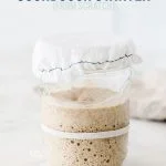 Learn how to make a sourdough starter with gluten free flour with 2 ingredients and minimal equipment. Follow the detailed feeding schedule (free printable schedule available). Learn the basic tools you need, gluten free flour recommendations, and all your sourdough starter questions are answered. This how-to post is full of information to set you up for sourdough starter success. Recipe and tutorial from @whattheforkblog - visit whattheforkfoodblog.com for more gluten free baking recipes.