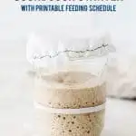 Learn how to make a sourdough starter with gluten free flour with 2 ingredients and minimal equipment. Follow the detailed feeding schedule (free printable schedule available). Learn the basic tools you need, gluten free flour recommendations, and all your sourdough starter questions are answered. This how-to post is full of information to set you up for sourdough starter success. Recipe and tutorial from @whattheforkblog - visit whattheforkfoodblog.com for more gluten free baking recipes.