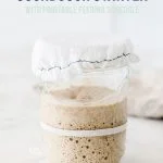 Learn how to make a sourdough starter with gluten free flour with 2 ingredients and minimal equipment. Follow the detailed feeding schedule (free printable schedule available). Learn the basic tools you need, gluten free flour recommendations, and all your sourdough starter questions are answered. This how-to post is full of information to set you up for sourdough starter success. Recipe and tutorial from @whattheforkblog - visit whattheforkfoodblog.com for more gluten free baking recipes.