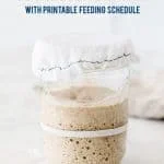 Learn how to make a sourdough starter with gluten free flour with 2 ingredients and minimal equipment. Follow the detailed feeding schedule (free printable schedule available). Learn the basic tools you need, gluten free flour recommendations, and all your sourdough starter questions are answered. This how-to post is full of information to set you up for sourdough starter success. Recipe and tutorial from @whattheforkblog - visit whattheforkfoodblog.com for more gluten free baking recipes.