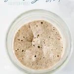 Learn how to make a sourdough starter with gluten free flour with 2 ingredients and minimal equipment. Follow the detailed feeding schedule (free printable schedule available). Learn the basic tools you need, gluten free flour recommendations, and all your sourdough starter questions are answered. This how-to post is full of information to set you up for sourdough starter success. Recipe and tutorial from @whattheforkblog - visit whattheforkfoodblog.com for more gluten free baking recipes.