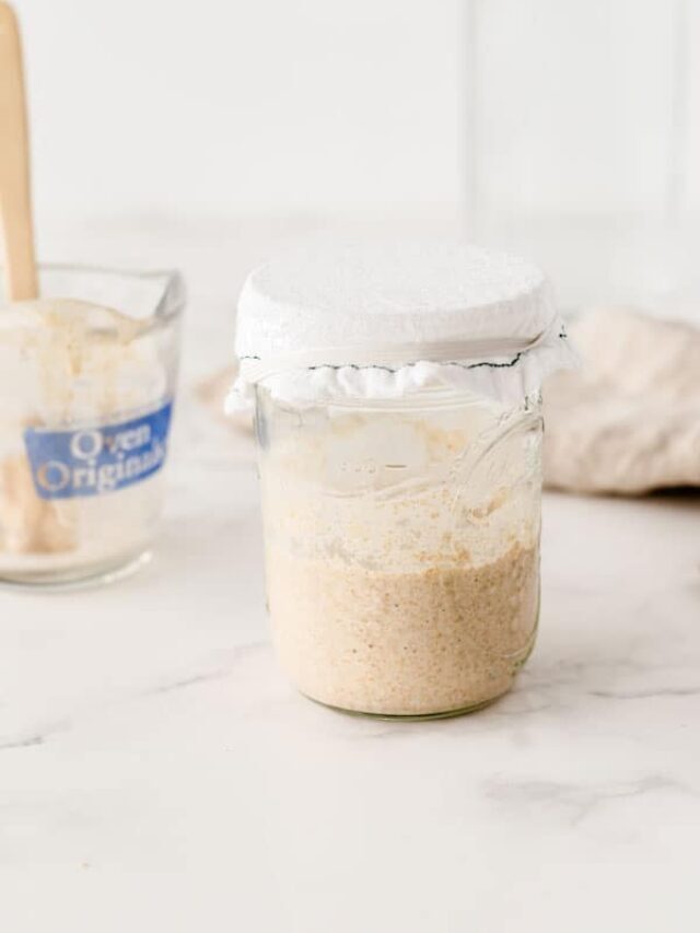 Sourdough Starter Maintenance Story
