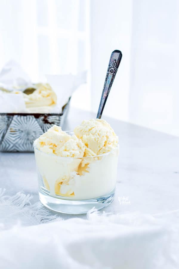 Homemade Vanilla Ice Cream (No-Churn Ice Cream)