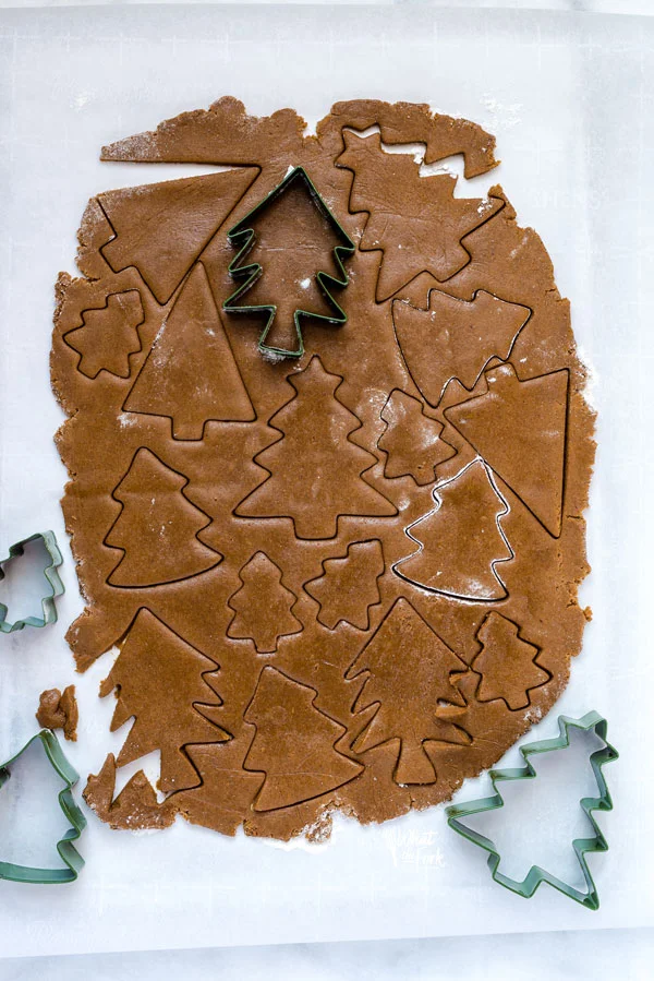 overhead shot of gluten free gingerbread cookie dough rolled out and cut with Christmas tree cookie cutters