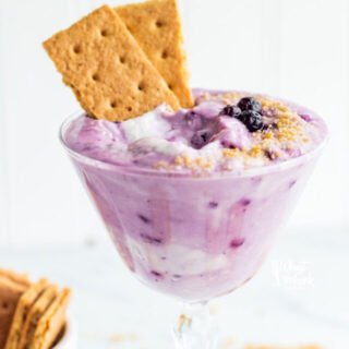Blueberry Cheesecake Dip in a vintage martini glass garnished with graham cracker crumbs, frozen blueberries, and 2 pieces of graham cracker
