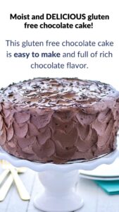 Gluten-Free-Chocolate-Cake-Web-Stories-page-2-poster