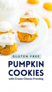 Gluten-Free-Pumpkin-Cookies-Web-Stories-Page-1-poster