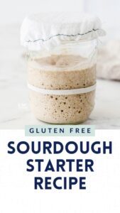 Gluten-Free-Sourdough-Starter-Recipe-Web-Stories-Page-1-poster