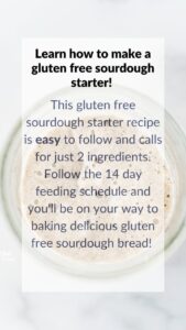Gluten-Free-Sourdough-Starter-Recipe-Web-Stories-Page-2-poster