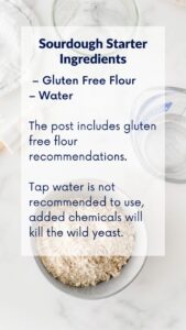 Gluten-Free-Sourdough-Starter-Recipe-Web-Stories-Page-3-poster