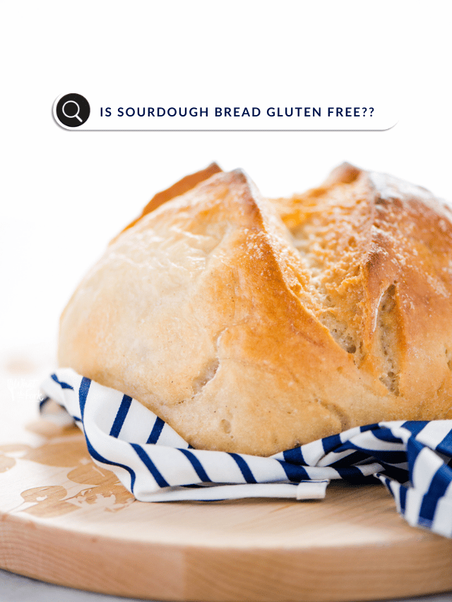 Gluten Free Sourdough Bread Recipe Story