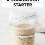 straight on shot of sourdough starter in a glass jar with text for Feeding Sourdough Starter for Maintenance - How to Maintain a Sourdough Starter