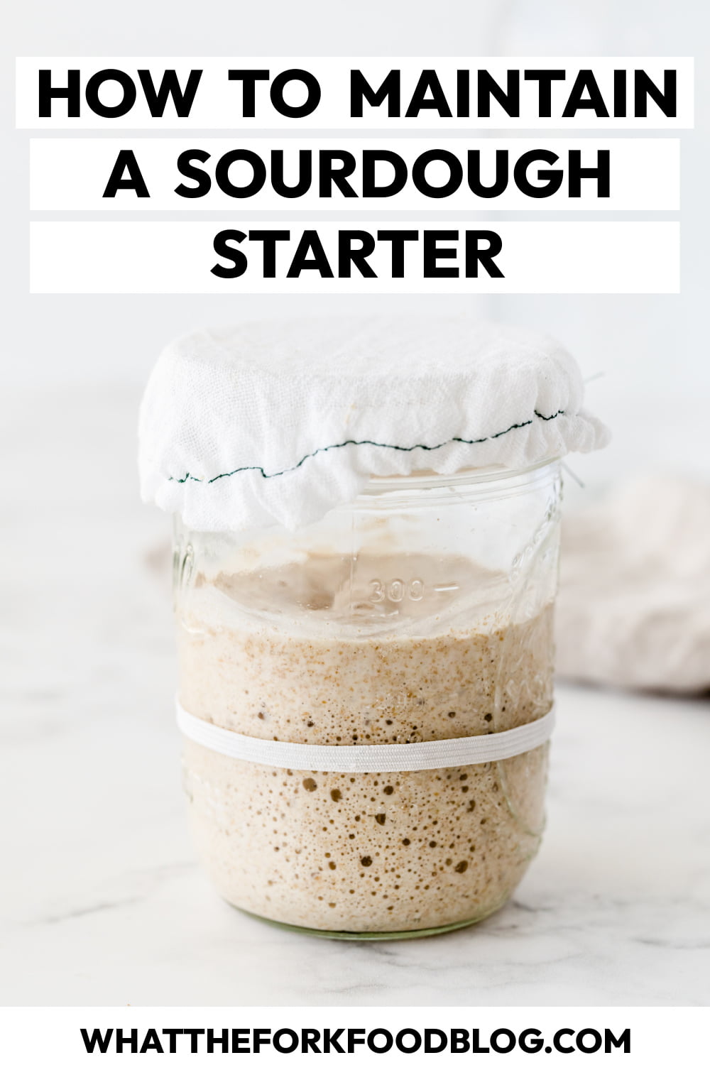 Feeding Sourdough Starter for Maintenance What the Fork