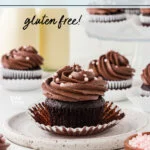 Moist and Rich Gluten Free Chocolate Cupcakes image with text for Pinterest