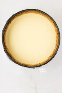 plain cheesecake batter with crust in a black springform pan