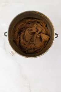 gluten free ginger cookie dough mixed together in a silver stand mixer bowl