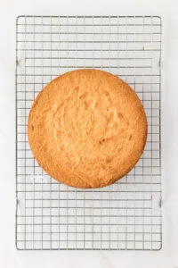 almond flour cake cooling on a wire rack
